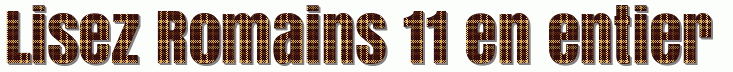 Romains 11
