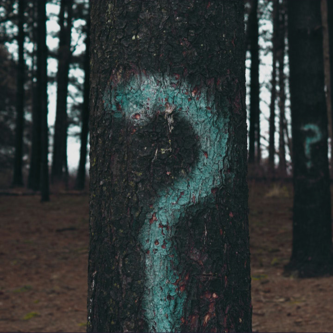 Quotation mark.jpg