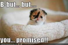 b-but-but-you-promised